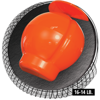 HAMMER HAMMERHEAD PEARL